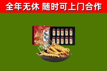 清远市烟酒回收冬虫夏草礼盒.jpg
