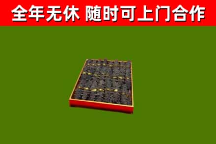 清远市回收海参